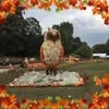Erika Gentile avatar